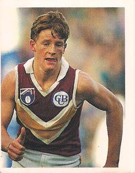 1993 Select AFL Stickers #37 Michael Voss Front